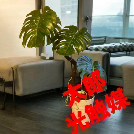 光触媒　人工観葉植物　フェイクグリーン　ハンドメイド　モンステラ9575