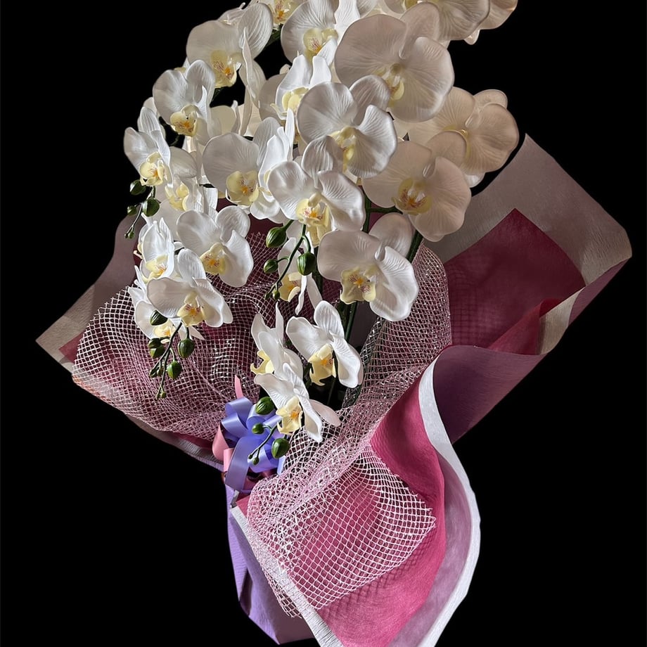 68c2c14d79443dd2eae0cb82