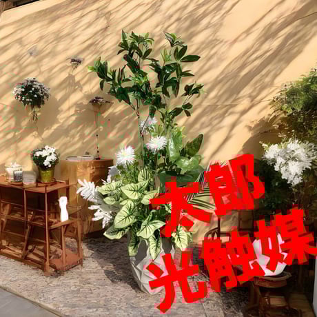光触媒　人工観葉植物　ウォールグリーン　フェイクグリーン　パキラとカラジューム2