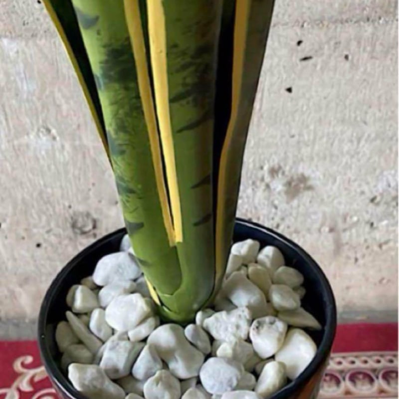 光触媒 人工観葉植物 ウォールグリーン フェイクグリーン サンスベリア