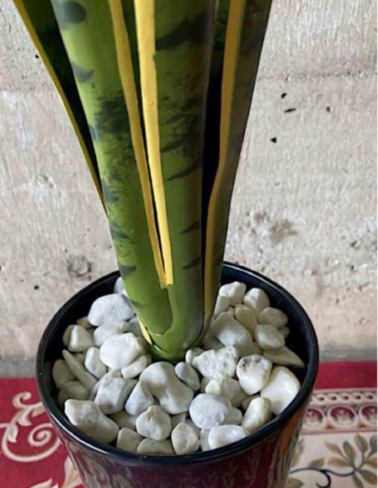 光触媒 人工観葉植物 ウォールグリーン フェイクグリーン サンスベリア