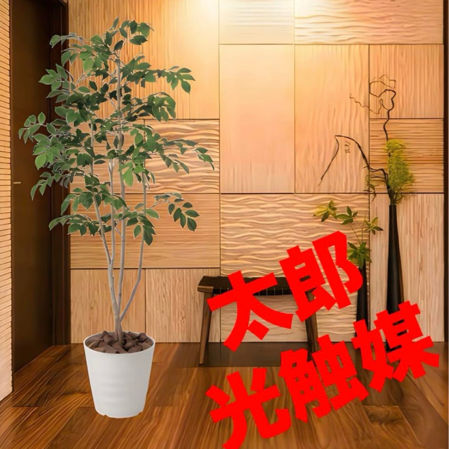 68f4f992401c31cc375ed2e7