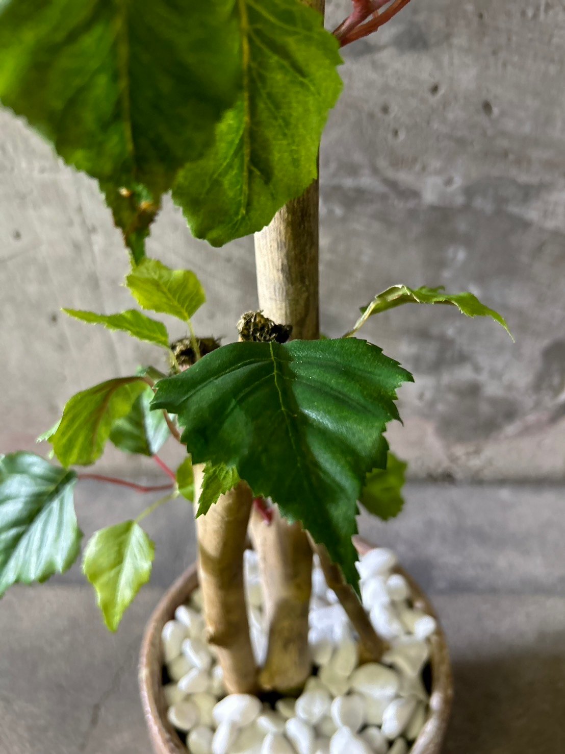 光触媒　人工観葉植物　ウォールグリーン　フェイクグリーン　エバーフレッシュ2t 光触媒 人工観葉植物 ウォールグリーン フェイクグリーン 2色