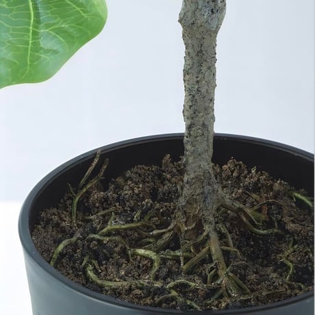 光触媒　人工観葉植物　ウォールグリーン　フェイクグリーン　ＨＱウンベラータルーツ@@