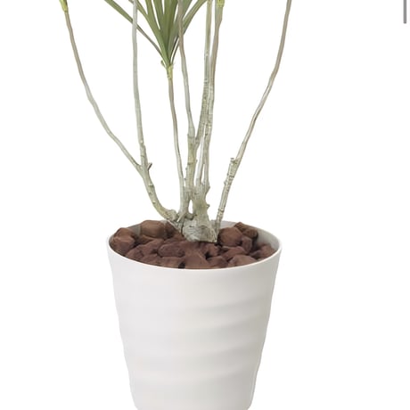 光触媒　人工観葉植物　ウォールグリーン　フェイクグリーン　ドラセナ1.4