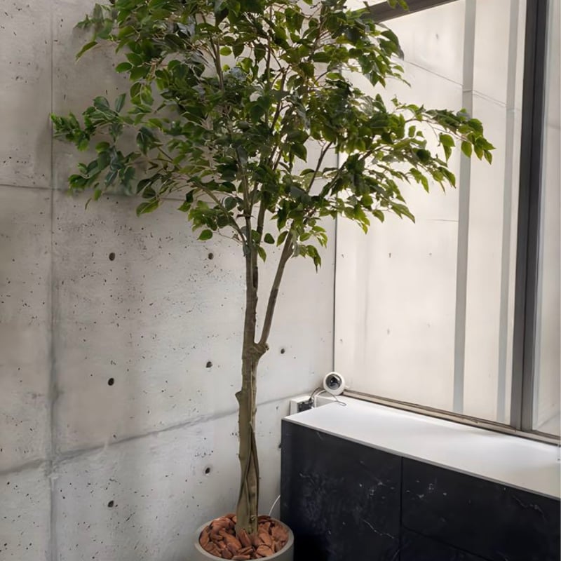 光触媒 人工観葉植物 ウォールグリーン フェイクグリーン ベンジャミン