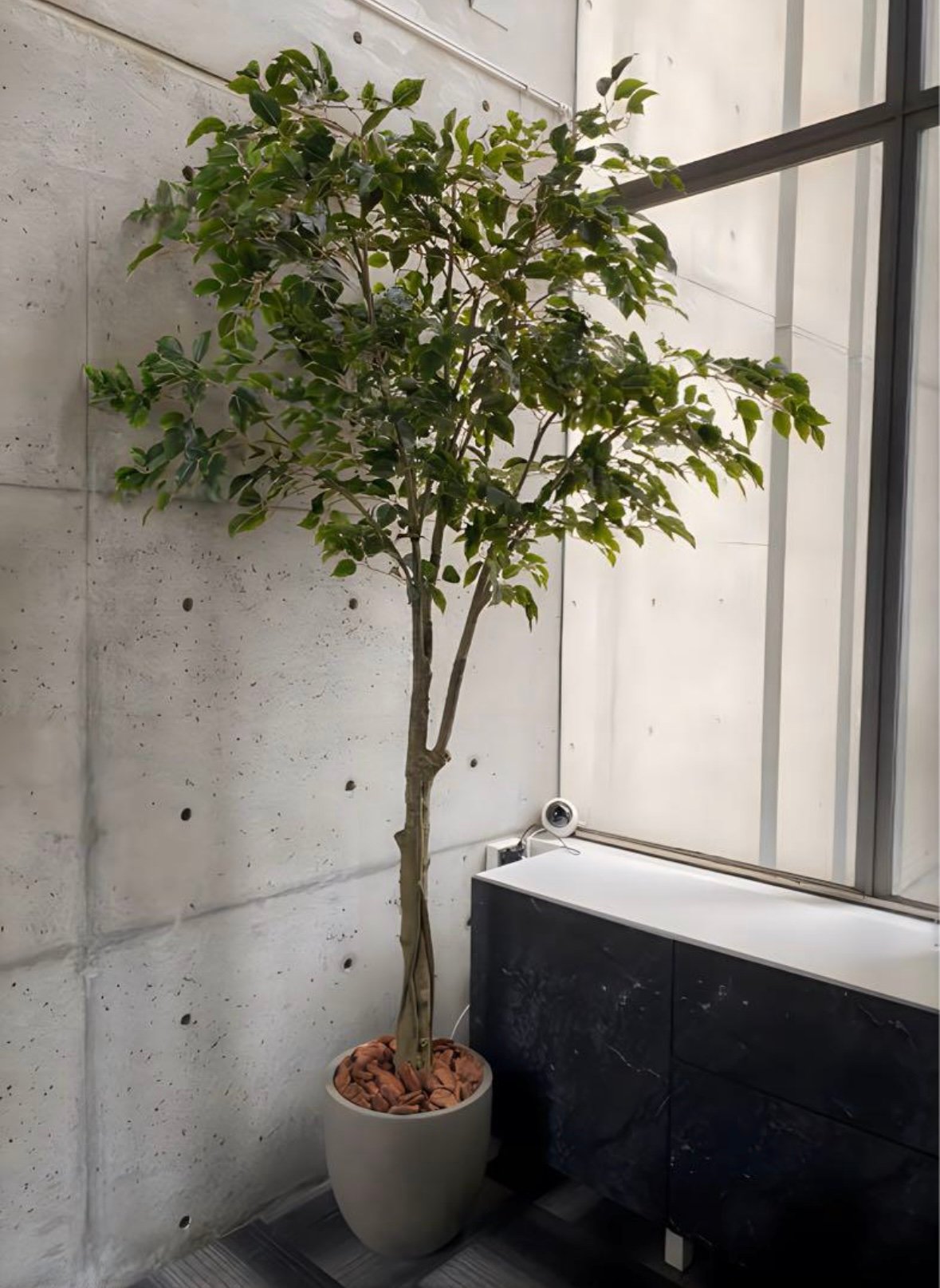 光触媒 人工観葉植物 ウォールグリーン フェイクグリーン ベンジャミン