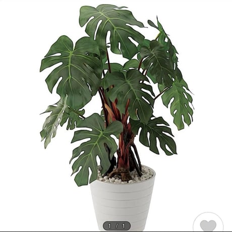 光触媒　人工観葉植物　ウォールグリーン　フェイクグリーン　モンステラ5