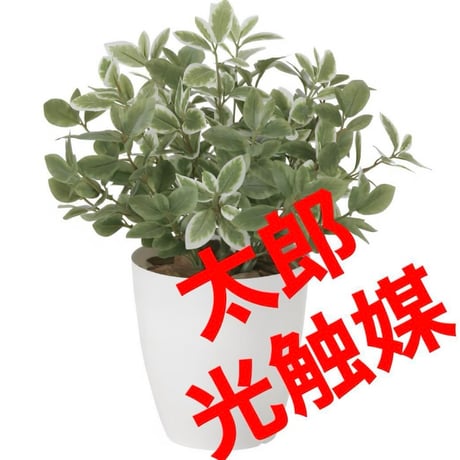 光触媒　人工観葉植物　ウォールグリーン　フェイクグリーン　ミニリーフLgpt