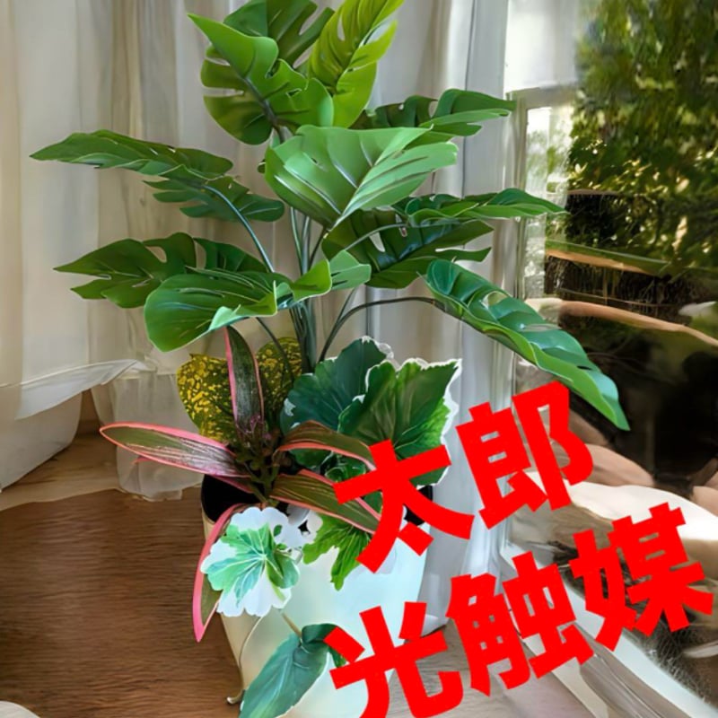 光触媒　人工観葉植物　ウォールグリーン　フェイクグリーン　パスカリ 光触媒 人工観葉植物 ウォールグリーン フェイクグリーン 壁掛け