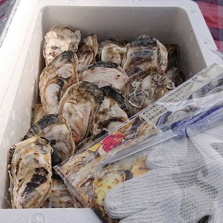 海男（佐賀県有明海産）殻付き牡蠣 20個入り