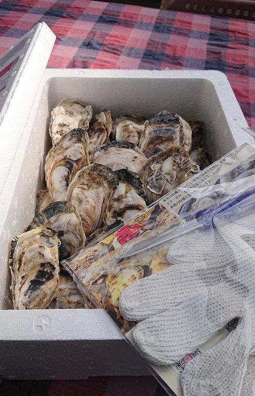 牡蠣さま専用 海男（佐賀県有明海産）殻付き牡蠣 40個入り | OYSTER和音