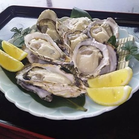 海男（佐賀県有明海産）殻付き牡蠣 20個入り