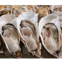 【愛知県初 生食用真牡蠣】朋輩牡蠣（ほうばいがき 愛知県篠島産）40個入り