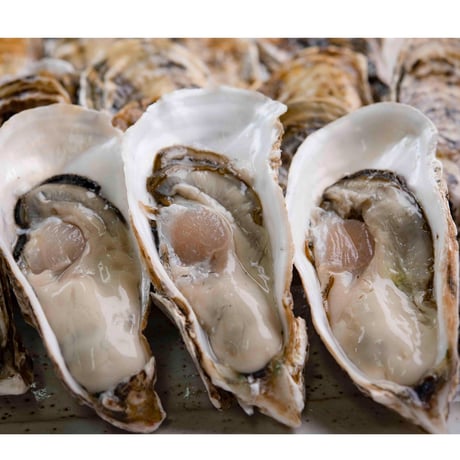 【愛知県初 生食用真牡蠣】朋輩牡蠣（ほうばいがき 愛知県篠島産）40個入り