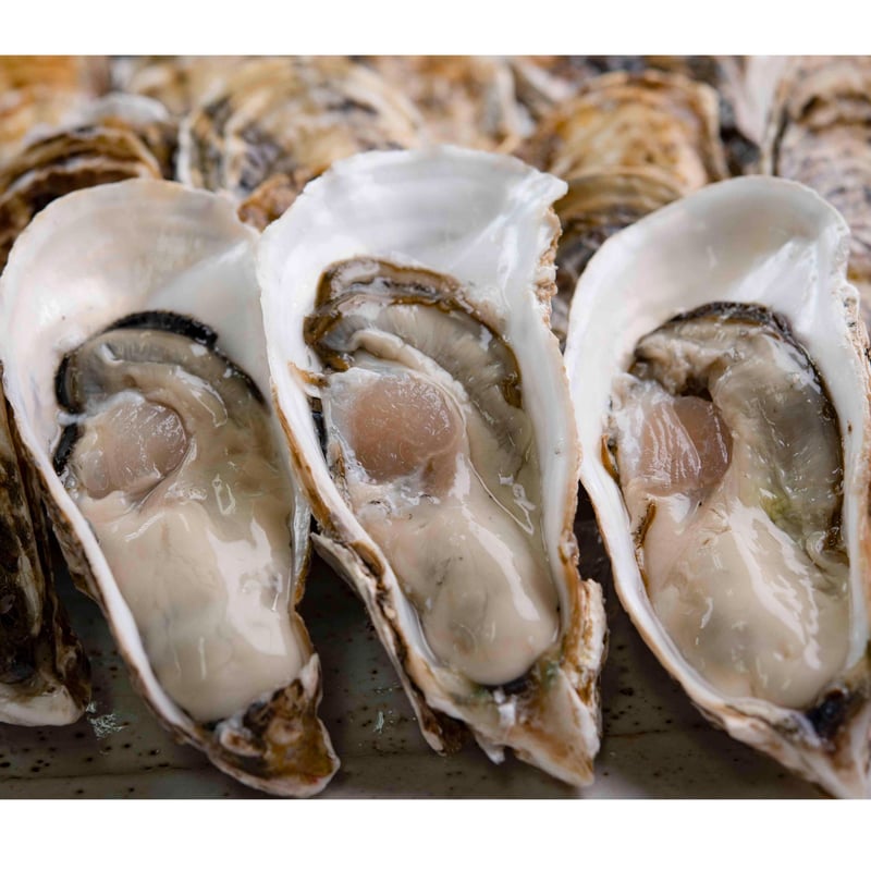 愛知県初 生食用真牡蠣 】朋輩牡蠣（ほうばいがき 愛知県篠島産