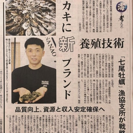 奇跡を味わう、七尾からの贈り物 - 新ブランド牡蠣『七尾牡蠣』 10個入り