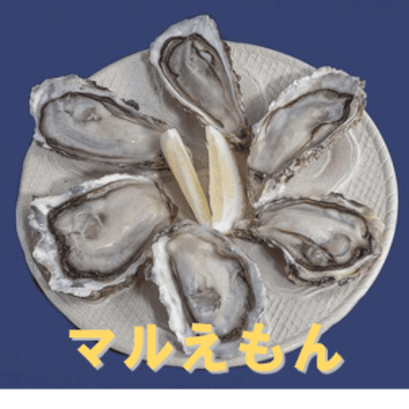 北海道厚岸の人気ブランド牡蠣。「カキえもん」「マルえもん」各1ダース×2種 食べ比べセット
