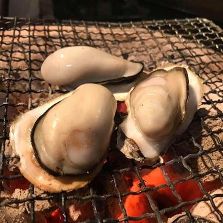 海男（佐賀県有明海産）殻付き牡蠣 80個入り