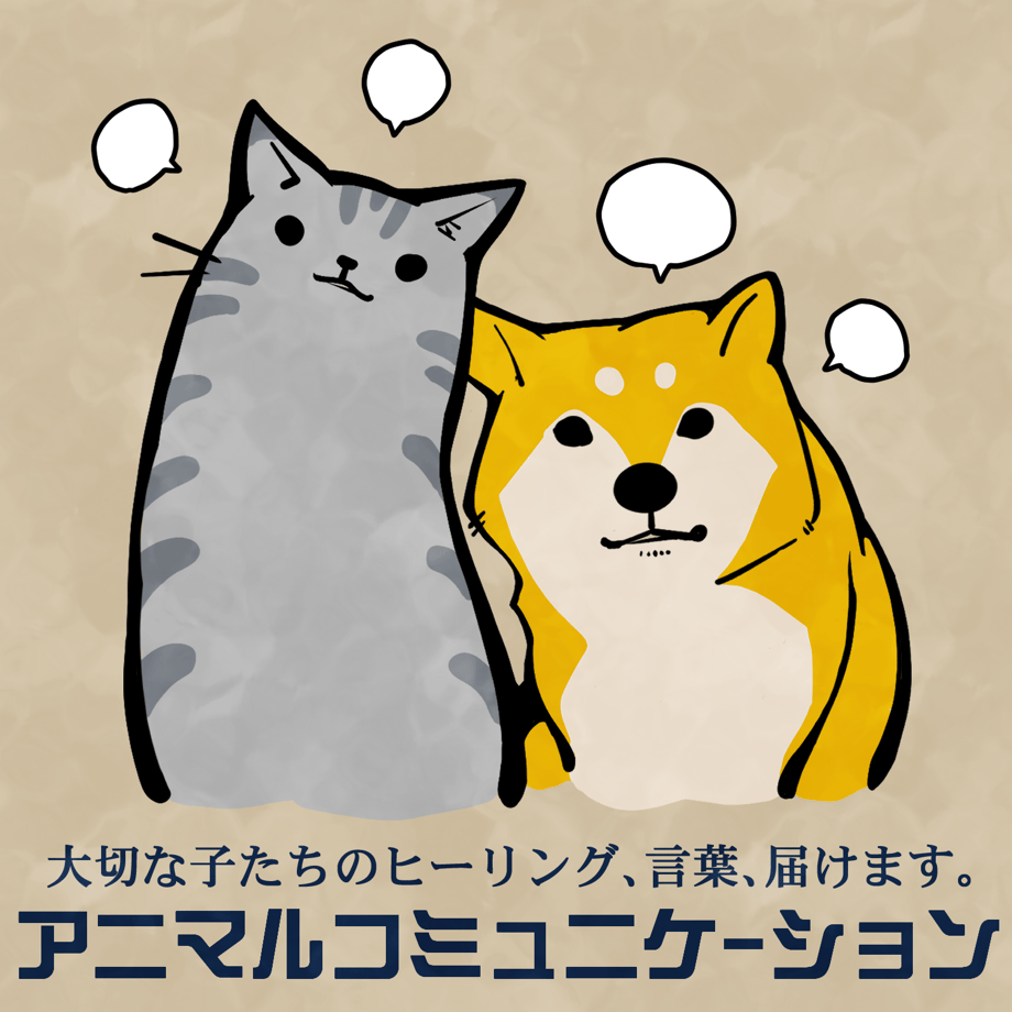 6a2fd3188e3e650710cbb714