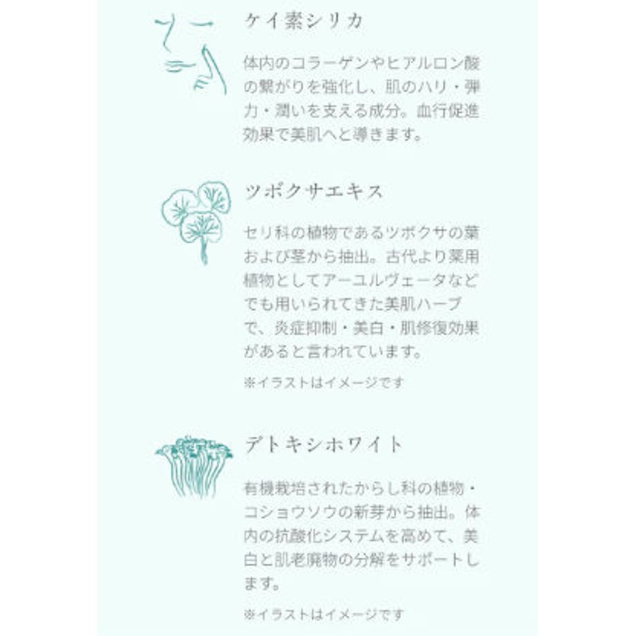 63ec2b9cd191237d97485897