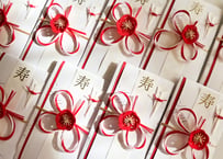 紅白と古き良き梅の祝儀袋（送料込み）