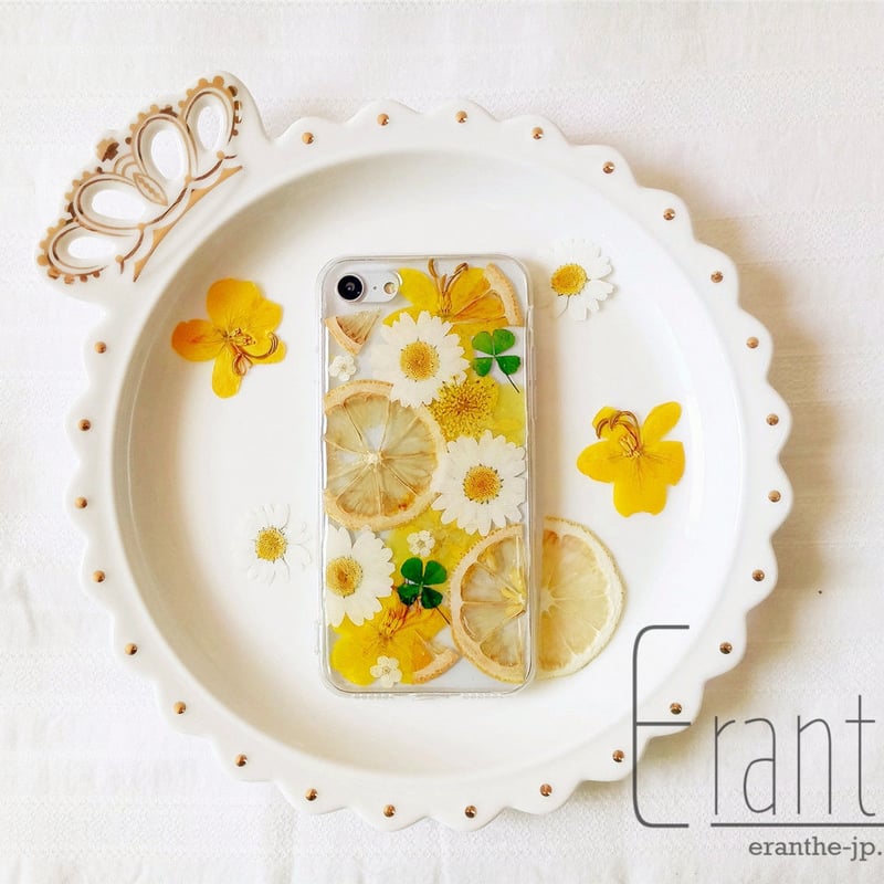 ☆特別価格☆ハートレモン 押し花ケース ☆ ハートレモン専用ページ☆押し花ケース