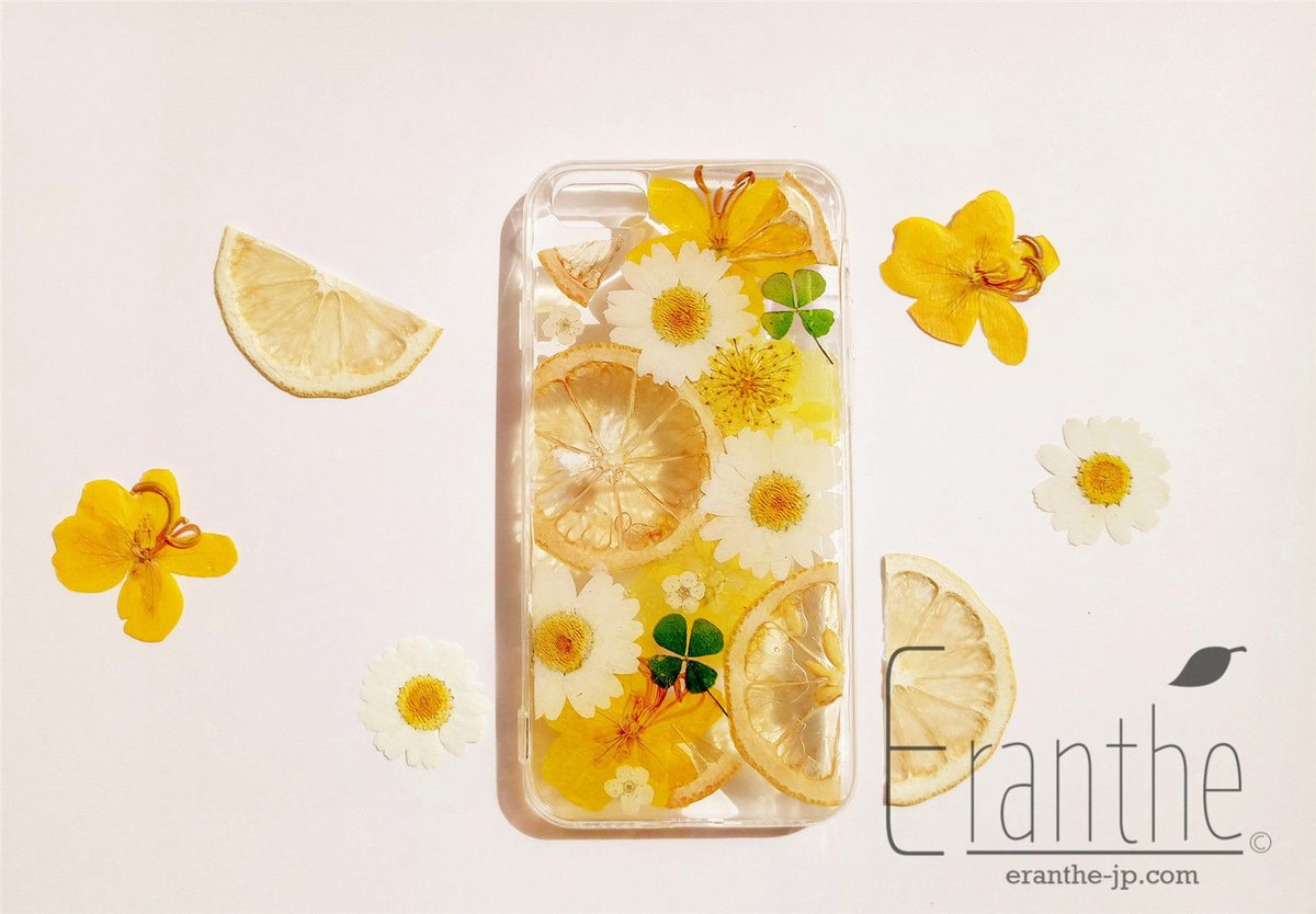 ☆特別価格☆ハートレモン 押し花ケース ☆ ☆特別価格☆ハートレモン 押し花ケース ☆