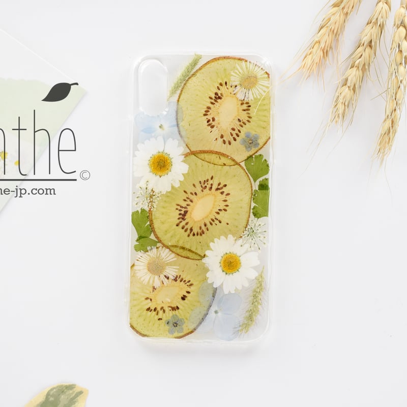 キウイ＆カモミール』押し花 ドライフラワー フルーツ