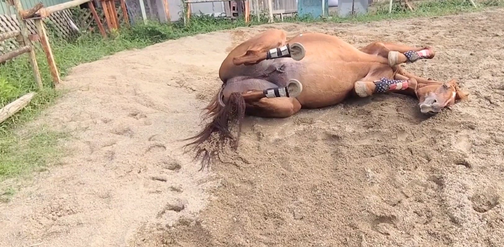 発送について