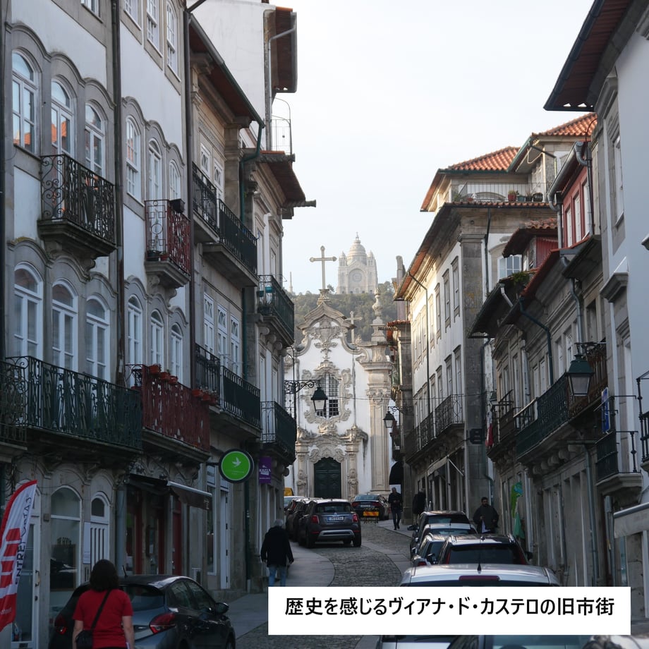65557fe89d2582002a43fddc