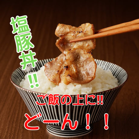 エース級！北海道産【味付け白老豚（塩だれ）】 125ｇ×5パック