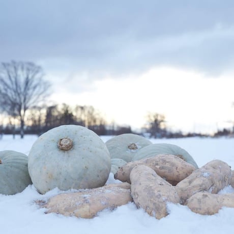 【カボチャのはこだて雪んこ】（ 6個入×1箱）『嘉福堂キッチン』■五つ星セレクト■