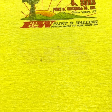 80’s Screen Stars ARIZONA Sun Face Tシャツ