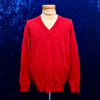 PIERRE CARDIN Vネック セーター