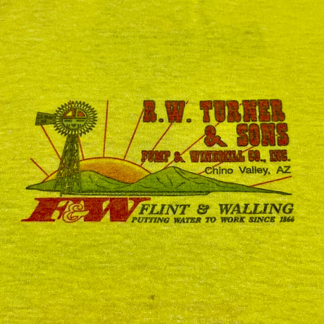 80’s Screen Stars ARIZONA Sun Face Tシャツ