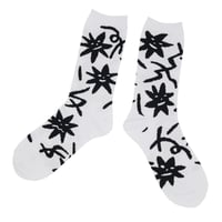SOCKS02
