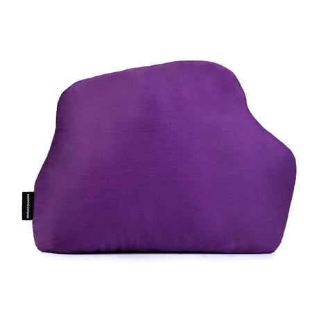 Duck Cushion