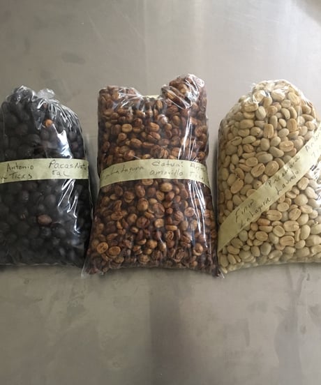 エルサルバドル　アントニオ ティカス　-パカマラ　ナチュラル-　200g