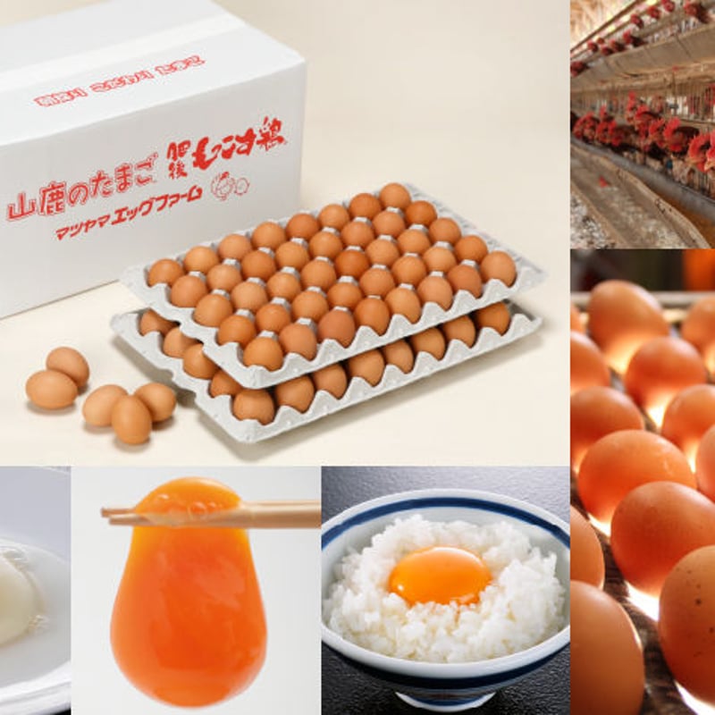 マツヤマエッグファーム「山鹿のたまご」80個 | 山鹿のたまご STORE