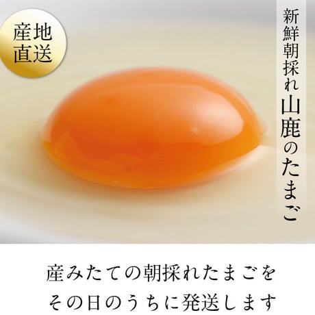 マツヤマエッグファーム「山鹿のたまご」80個
