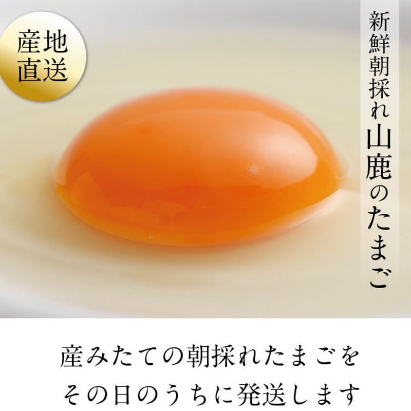 高品質 水晶たまごBIGサイズ♡♡No.2666 マツヤマエッグファーム「山鹿のたまご」80個 | 山鹿のたまご STORE