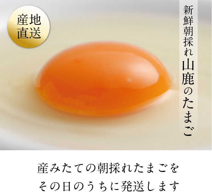 マツヤマエッグファーム「山鹿のたまご」80個 | 山鹿のたまご STORE