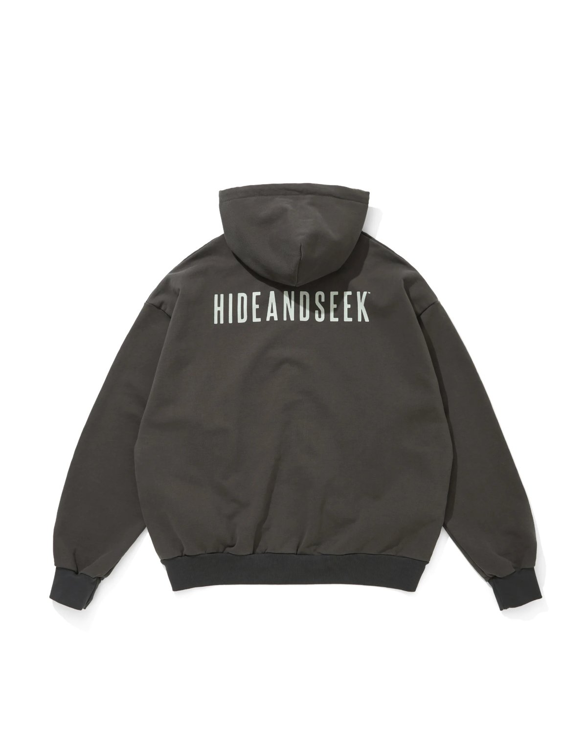 Logo ZIP Hooded Sweat Shirt | HIDE AND SEEK W.S.