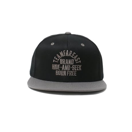 College Baseball Cap