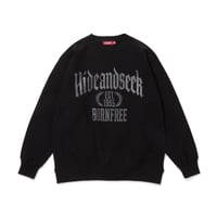 College Sweat Shirt