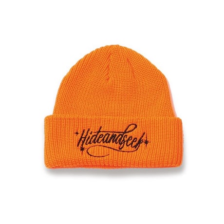 Cursive Logo Knit Cap