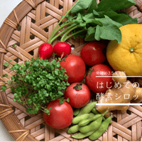 はじめての酵素シロップの作り方テキスト