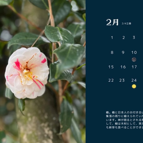 全一の酵素シロップ/植物採取カレンダー2024
