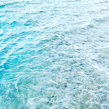 発酵の3.5.7日間、基本のテキスト/お水の飲み方とからだとこころ